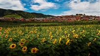 美丽和谐新农村（组图）
