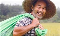 收获喜悦
