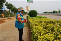 道路美容师