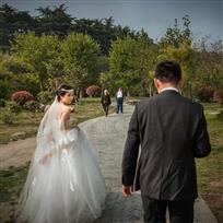 婚姻的本质