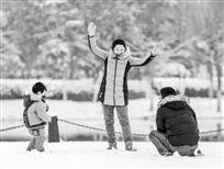 雪中情
