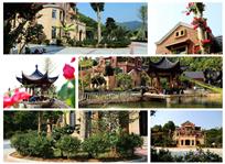 绿色庭院