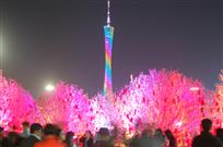 红火羊城新春乐