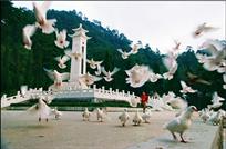 和平年代