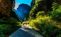 阳光道上