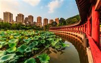 艳靓家园
