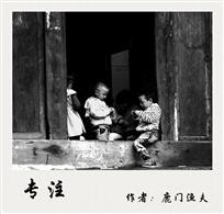 专注