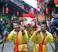 年猪巡游