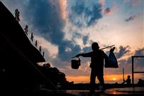 夕阳红
