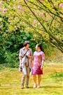 樱花姐妹