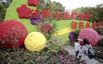 山花烂漫