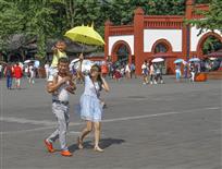 《爱在旅途》
