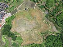 垦造耕地