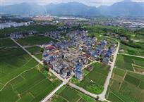 美丽茶乡