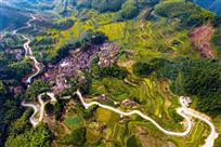 山路弯弯