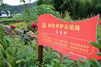 党员示范岗