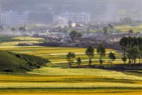 美丽乡村
