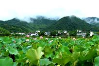 《画里山乡-赤溪村》