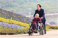 寸草春晖