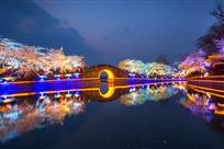 长春桥夜景