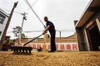 财政惠民政策好