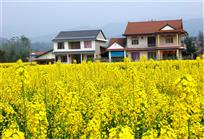 柳江新农村