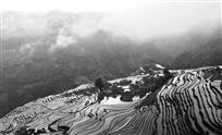 我家梯田层层绕