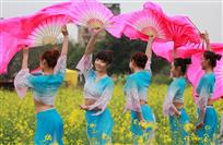 回眸一笑百媚生