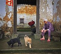 老人与小狗