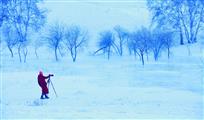 雪地创作