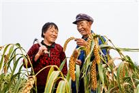 丰收的喜悦