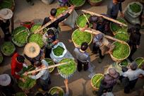 《挑茶》