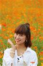 花海之楚