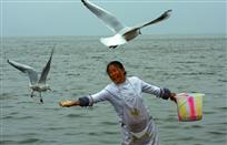 《海鸥“妈妈”》