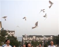 《放飞理想》