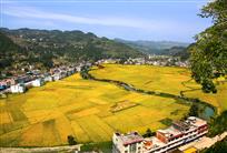 喜看双沙新农村