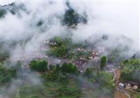 雾锁岱头