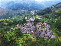 杨家堂