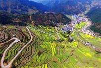 应村梯田
