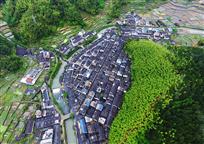 月山新貌