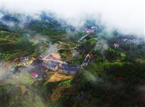 金村美景