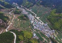 乡村致富路