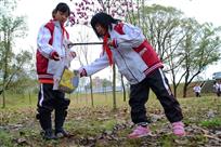 学雷锋