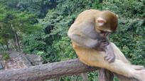 生态保护