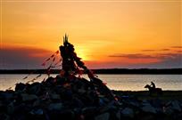 夕阳红