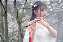 春之韵