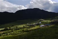 家园