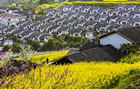 新农村新景象