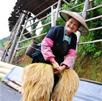 喜悦