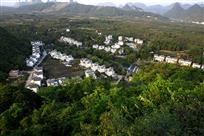 绿色家园